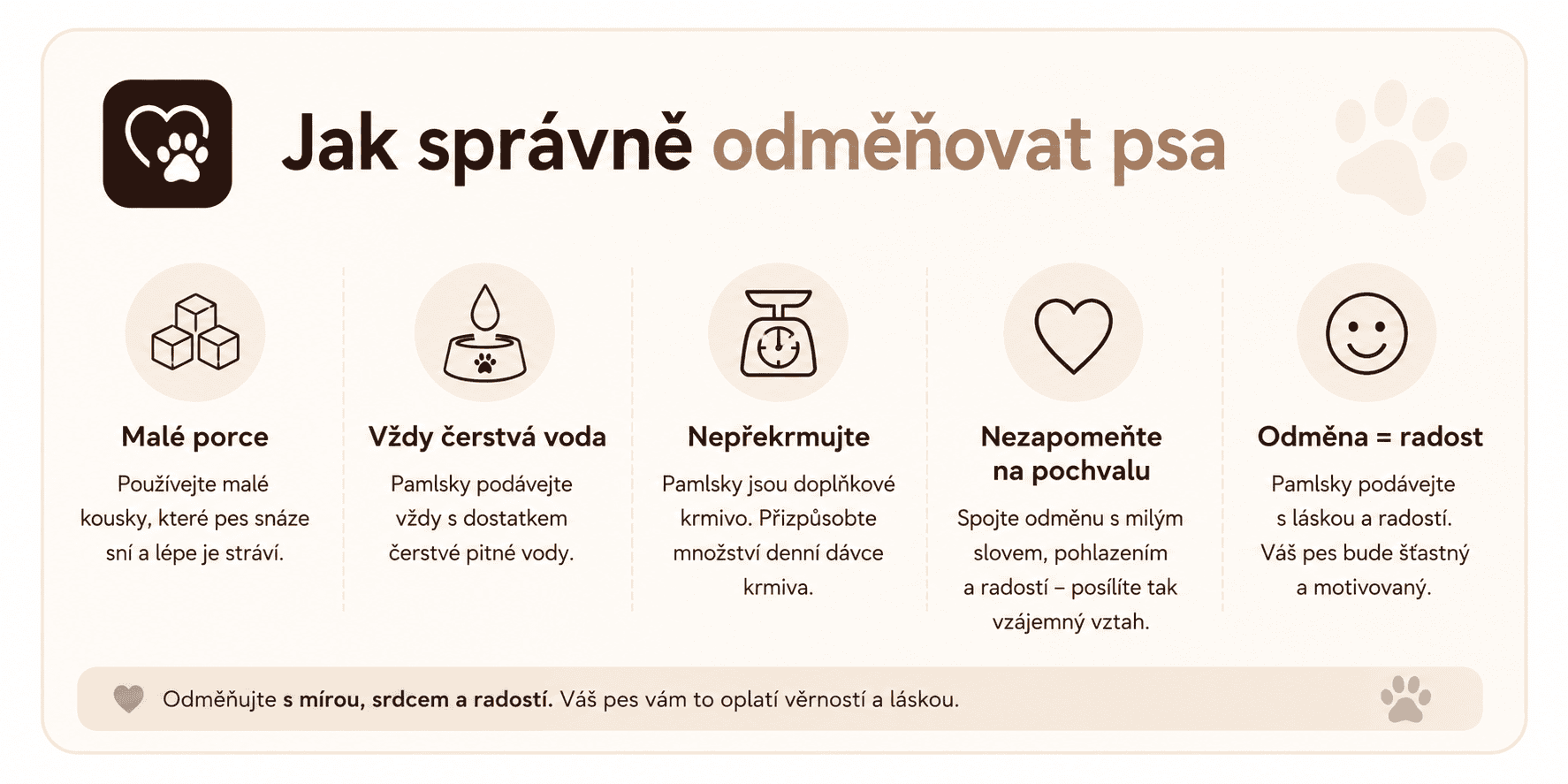 Jak správně odměňovat psa